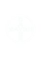 bayer-special-500