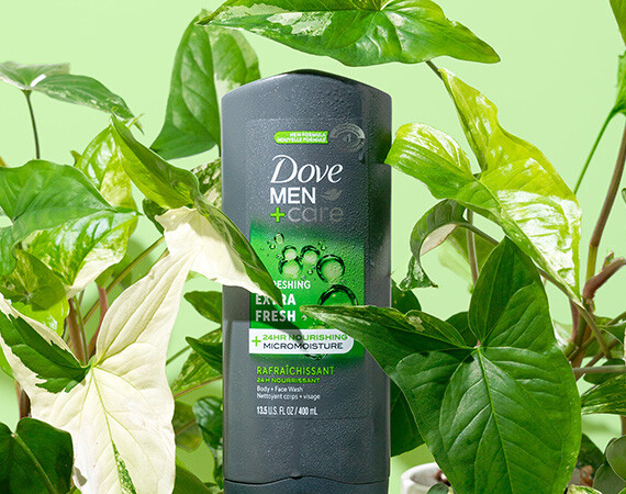 2024 dieline LP_dove