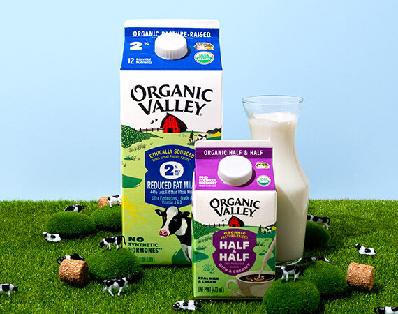 2024 dieline LP_organicvalley