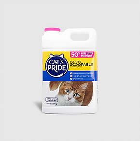 Cat's Pride