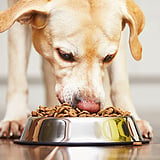 Dog Food (Dry)