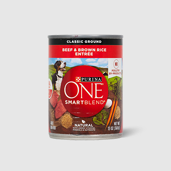 Purina One SmartBlend